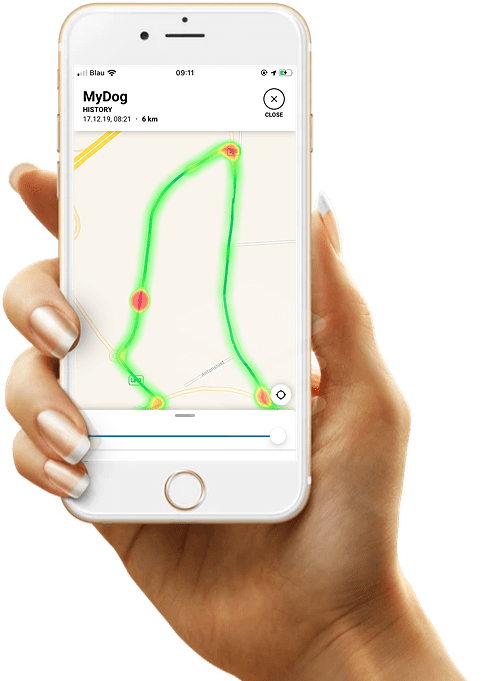 Heatmap shows accumulations if the dog stays longer at a place heatmap accumulations dog stays place